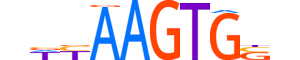 NKX25.H14RSNP.0.PSM.D motif logo (NKX2-5 gene, NKX25_HUMAN protein)