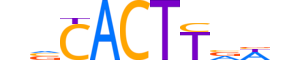 NKX28.H14RSNP.0.SM.D reverse-complement motif logo (NKX2-8 gene, NKX28_HUMAN protein)
