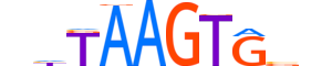 NKX32.H14RSNP.0.PSM.D motif logo (NKX3-2 gene, NKX32_HUMAN protein)