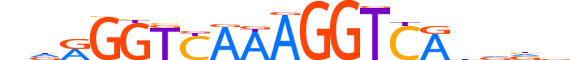 NR2C1.H14RSNP.1.PM.A motif logo (NR2C1 gene, NR2C1_HUMAN protein)