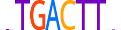 NR2E1.H14RSNP.0.SM.B reverse-complement motif logo (NR2E1 gene, NR2E1_HUMAN protein)