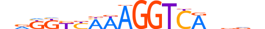 NR2F6.H14RSNP.2.SM.D motif logo (NR2F6 gene, NR2F6_HUMAN protein)