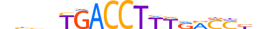 NR2F6.H14RSNP.2.SM.D reverse-complement motif logo (NR2F6 gene, NR2F6_HUMAN protein)