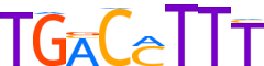 NR4A1.H14RSNP.0.PSM.A reverse-complement motif logo (NR4A1 gene, NR4A1_HUMAN protein)