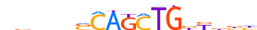 OLIG2.H14RSNP.0.P.B motif logo (OLIG2 gene, OLIG2_HUMAN protein)