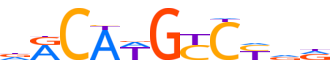 P73.H14RSNP.1.P.D reverse-complement motif logo (TP73 gene, P73_HUMAN protein)