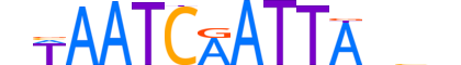 PAX7.H14RSNP.2.PM.A motif logo (PAX7 gene, PAX7_HUMAN protein)