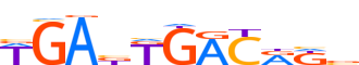 PBX2.H14RSNP.0.P.B motif logo (PBX2 gene, PBX2_HUMAN protein)