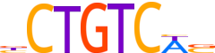 PBX2.H14RSNP.2.P.C reverse-complement motif logo (PBX2 gene, PBX2_HUMAN protein)