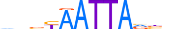 PHX2A.H14RSNP.1.SM.D motif logo (PHOX2A gene, PHX2A_HUMAN protein)