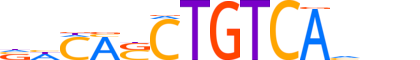 PKNX1.H14RSNP.3.SM.B reverse-complement motif logo (PKNOX1 gene, PKNX1_HUMAN protein)