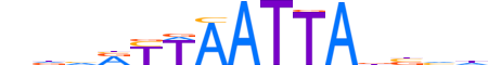 PO3F2.H14RSNP.1.S.D motif logo (POU3F2 gene, PO3F2_HUMAN protein)