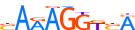 PPARG.H14RSNP.1.P.B motif logo (PPARG gene, PPARG_HUMAN protein)