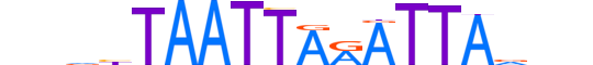PROP1.H14RSNP.0.PSM.A motif logo (PROP1 gene, PROP1_HUMAN protein)