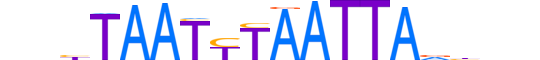 PROP1.H14RSNP.0.PSM.A reverse-complement motif logo (PROP1 gene, PROP1_HUMAN protein)