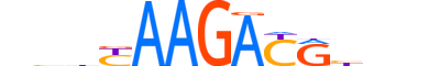 PROX1.H14RSNP.0.SM.D reverse-complement motif logo (PROX1 gene, PROX1_HUMAN protein)