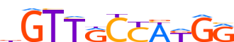 RFX1.H14RSNP.0.PM.A motif logo (RFX1 gene, RFX1_HUMAN protein)