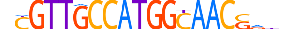 RFX2.H14RSNP.1.PSM.A reverse-complement motif logo (RFX2 gene, RFX2_HUMAN protein)