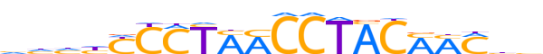 RFX3.H14RSNP.2.S.B reverse-complement motif logo (RFX3 gene, RFX3_HUMAN protein)