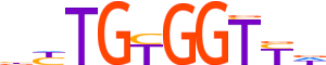 RUNX1.H14RSNP.0.P.D motif logo (RUNX1 gene, RUNX1_HUMAN protein)