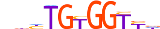RUNX3.H14RSNP.0.P.B motif logo (RUNX3 gene, RUNX3_HUMAN protein)