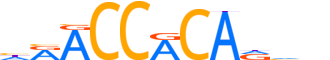 RUNX3.H14RSNP.0.P.B reverse-complement motif logo (RUNX3 gene, RUNX3_HUMAN protein)