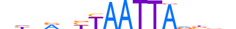 RX.H14RSNP.0.SM.D motif logo (RAX gene, RX_HUMAN protein)