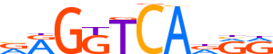 RXRG.H14RSNP.0.P.B motif logo (RXRG gene, RXRG_HUMAN protein)