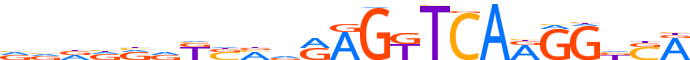 RXRG.H14RSNP.2.P.B motif logo (RXRG gene, RXRG_HUMAN protein)