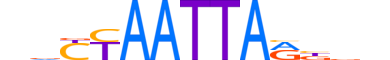 SHOX2.H14RSNP.1.S.D motif logo (SHOX2 gene, SHOX2_HUMAN protein)
