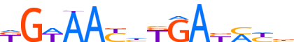SIX1.H14RSNP.0.P.B motif logo (SIX1 gene, SIX1_HUMAN protein)