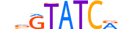 SIX1.H14RSNP.1.SM.B reverse-complement motif logo (SIX1 gene, SIX1_HUMAN protein)