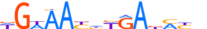 SIX2.H14RSNP.0.P.B motif logo (SIX2 gene, SIX2_HUMAN protein)