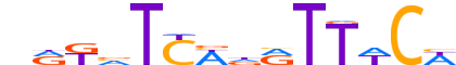 SIX2.H14RSNP.0.P.B reverse-complement motif logo (SIX2 gene, SIX2_HUMAN protein)