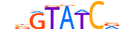 SIX2.H14RSNP.2.SM.B reverse-complement motif logo (SIX2 gene, SIX2_HUMAN protein)