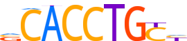 SNAI1.H14RSNP.0.PSM.A reverse-complement motif logo (SNAI1 gene, SNAI1_HUMAN protein)