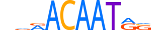 SOX3.H14RSNP.0.PM.A reverse-complement motif logo (SOX3 gene, SOX3_HUMAN protein)