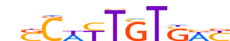 SOX30.H14RSNP.0.P.C motif logo (SOX30 gene, SOX30_HUMAN protein)