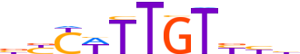 SOX8.H14RSNP.1.PS.A motif logo (SOX8 gene, SOX8_HUMAN protein)
