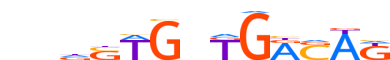 TBX20.H14RSNP.0.P.C motif logo (TBX20 gene, TBX20_HUMAN protein)