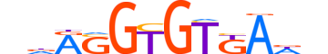 TBX20.H14RSNP.1.M.C motif logo (TBX20 gene, TBX20_HUMAN protein)