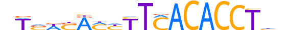 TBX20.H14RSNP.2.SM.B reverse-complement motif logo (TBX20 gene, TBX20_HUMAN protein)
