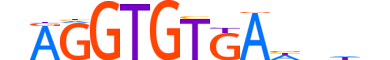 TBX21.H14RSNP.0.PSM.A motif logo (TBX21 gene, TBX21_HUMAN protein)