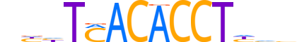 TBX3.H14RSNP.0.PSM.A reverse-complement motif logo (TBX3 gene, TBX3_HUMAN protein)