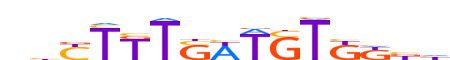 TCF7.H14RSNP.0.PSM.A reverse-complement motif logo (TCF7 gene, TCF7_HUMAN protein)