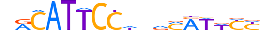TEAD3.H14RSNP.1.S.D motif logo (TEAD3 gene, TEAD3_HUMAN protein)