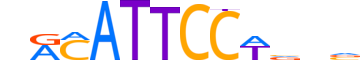 TEAD4.H14RSNP.0.PS.A motif logo (TEAD4 gene, TEAD4_HUMAN protein)