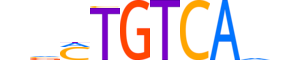 TGIF2.H14RSNP.1.PSM.A reverse-complement motif logo (TGIF2 gene, TGIF2_HUMAN protein)
