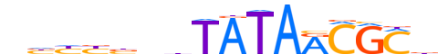 TIGD5.H14RSNP.0.PSGI.D motif logo (TIGD5 gene, TIGD5_HUMAN protein)