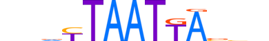 VAX2.H14RSNP.0.SM.B reverse-complement motif logo (VAX2 gene, VAX2_HUMAN protein)